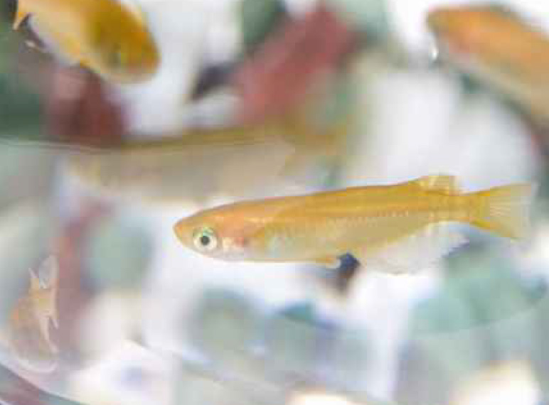 中部電力イメージ4