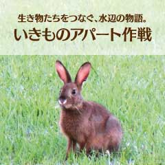 生き物アパート作戦