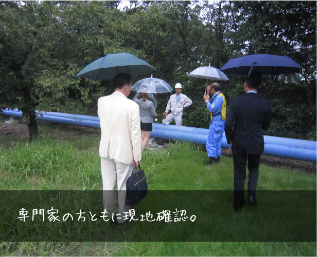 専門家の方とともに現地確認。