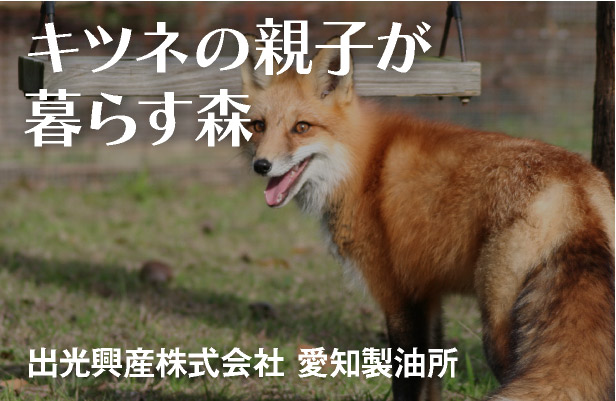 キツネの親子が暮らす森