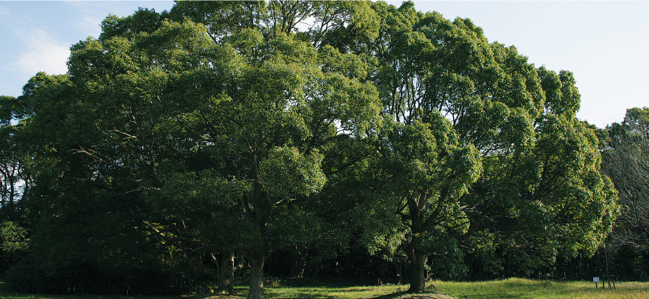 出光興産イメージ