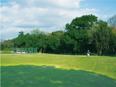 多様な生物が棲みやすい環境