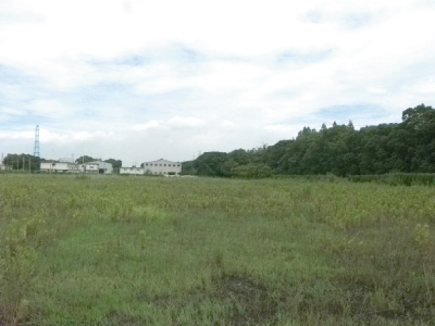 株式会社LIXIL 知多工場グリーンベルト