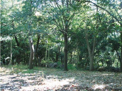 知多エル・エヌ・ジーイメージルト