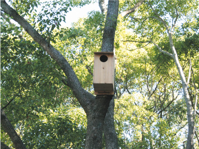 知多エル・エヌ・ジーイメージ