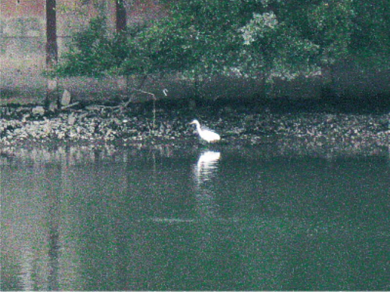 新日鐵住金株式会社　イメージ