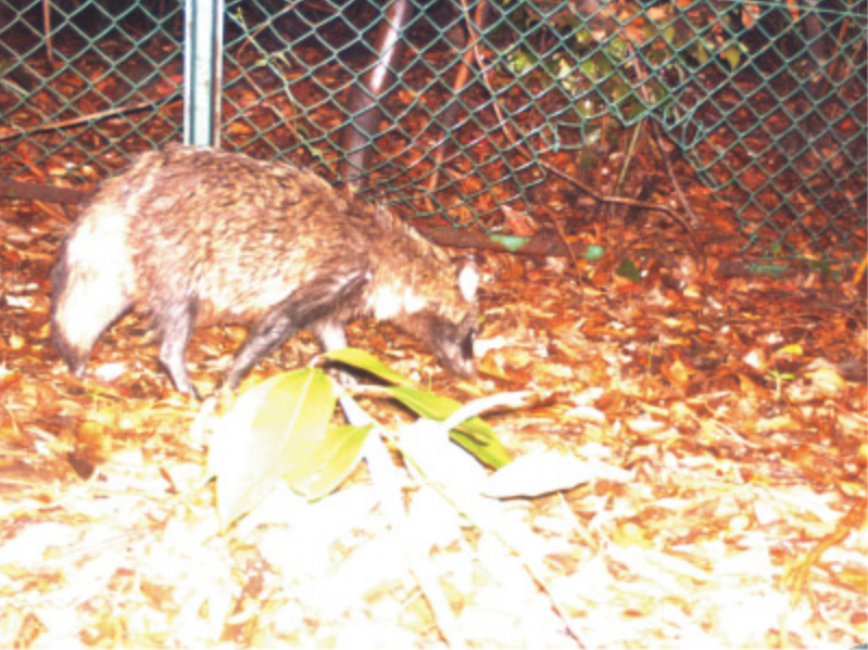 新日鐵住金株式会社　抜け穴