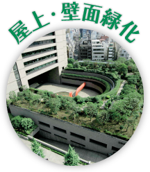 屋上・壁面緑化