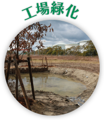 工場緑化