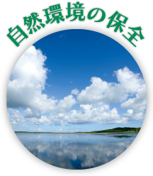 自然環境の保全