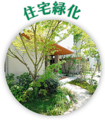 住宅緑化
