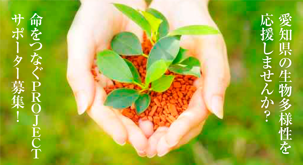 愛知県の生物多様性を
応援しませんか? 命をつなぐPROJECT
サポーター募集!