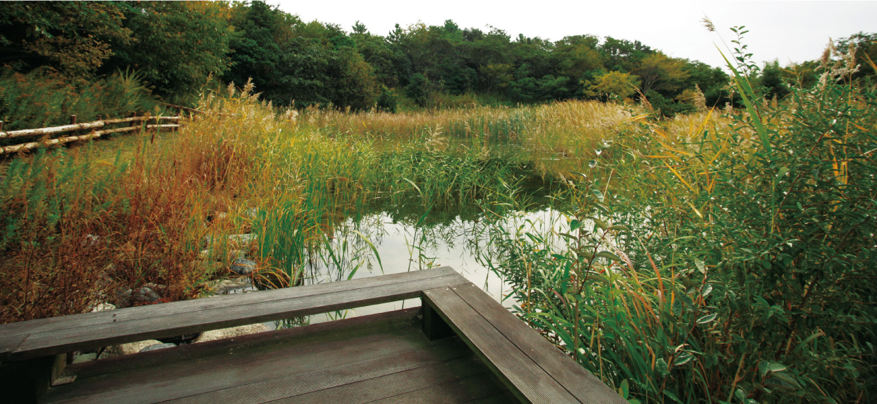 東邦ガスイメージ