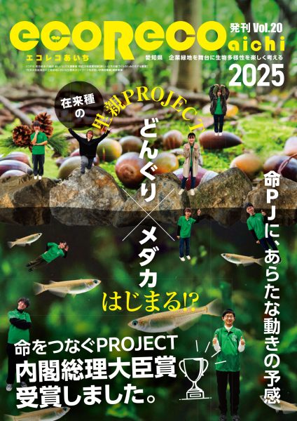 ecorecoAich vol.20